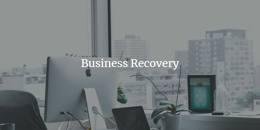 What is a Business Recovery Specialist and How do They Function?