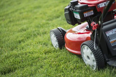 The Convenience of Buying Lawnmower Spare Parts Online