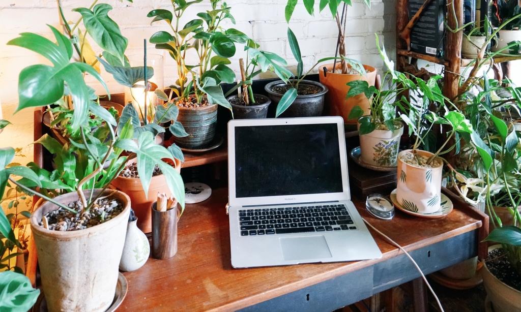 7 Things To Do To Improve Your Working From Home Experience