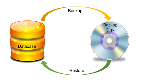Database Backup and Recovery Process
