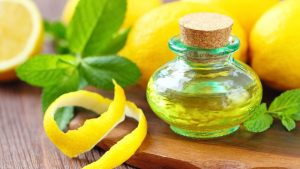 Lemon Oil Industry