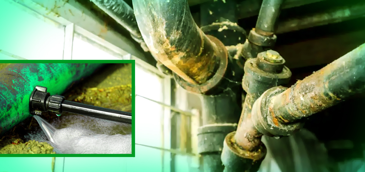 How to Detect & Fix A Plumbing Leak in Your Business Premises
