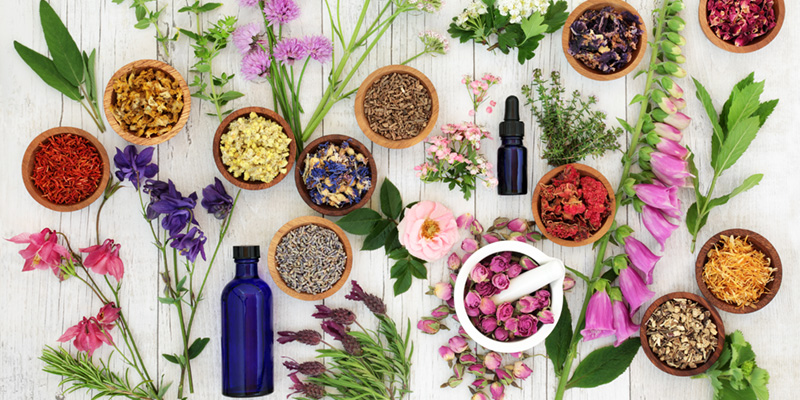 10 Benefits of Herbal Remedies